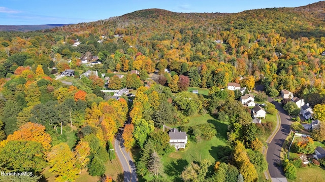 bird's eye view featuring a mountain view and a wooded view