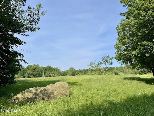292 E Hawley Rd, Hawley, MA 01339 - photo 9