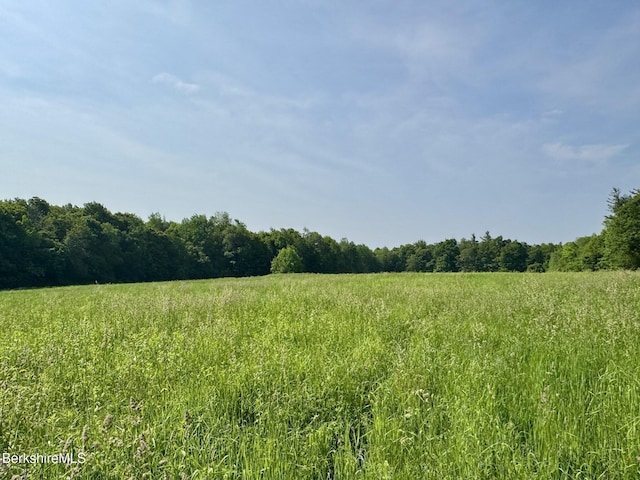 292 E Hawley Rd, Hawley, MA 01339 - photo 3