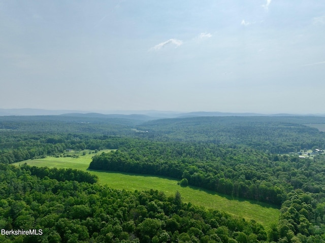 292 E Hawley Rd, Hawley, MA 01339 - photo 11