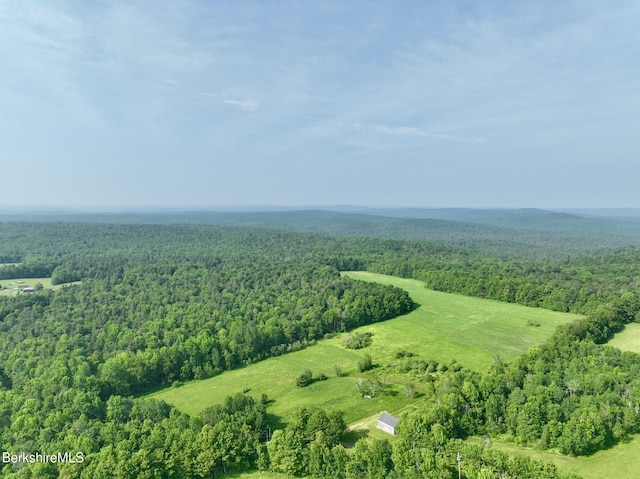 292 E Hawley Rd, Hawley, MA 01339 - photo 7