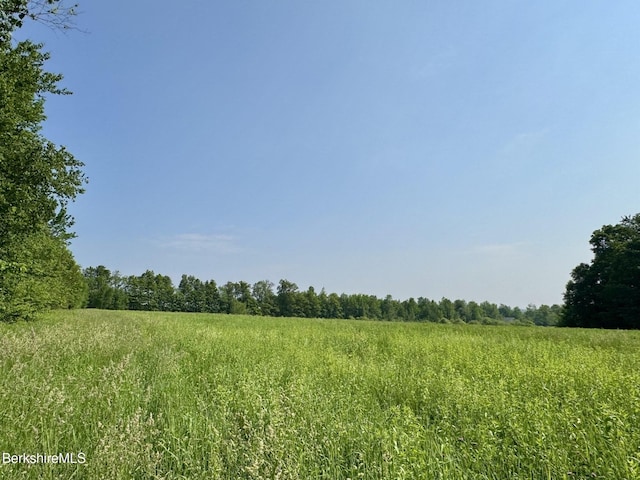 292 E Hawley Rd, Hawley, MA 01339 - photo 4