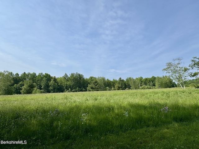 292 E Hawley Rd, Hawley, MA 01339 - photo 8