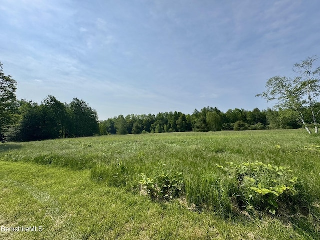 292 E Hawley Rd, Hawley, MA 01339 - photo 10