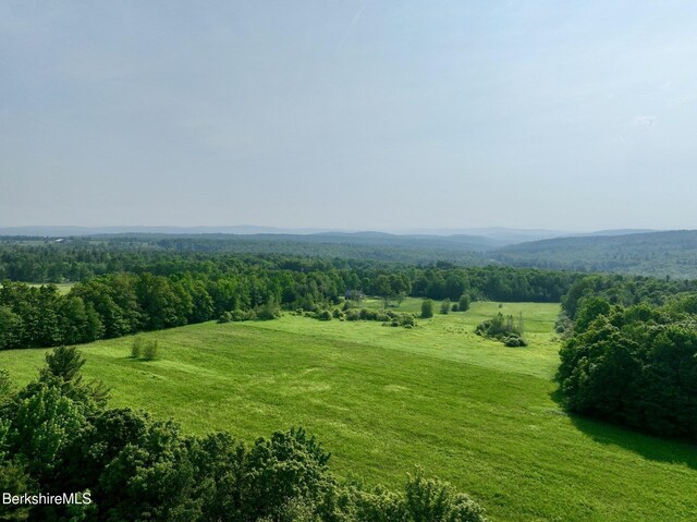 292 E Hawley Rd, Hawley, MA 01339 - photo 12