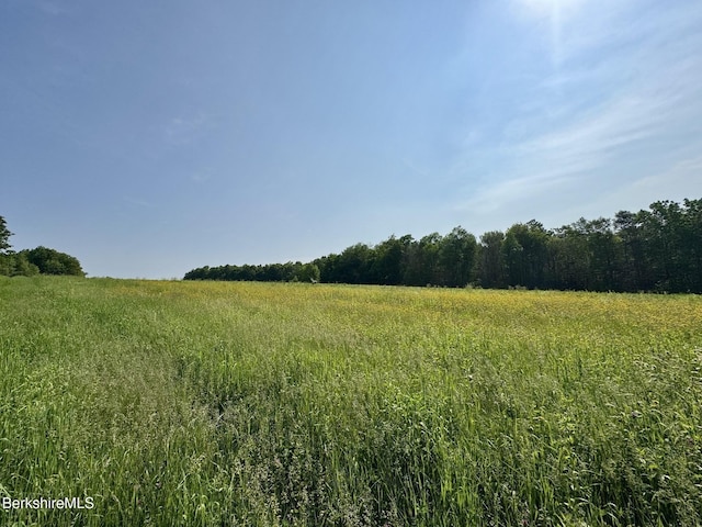292 E Hawley Rd, Hawley, MA 01339 - photo 2