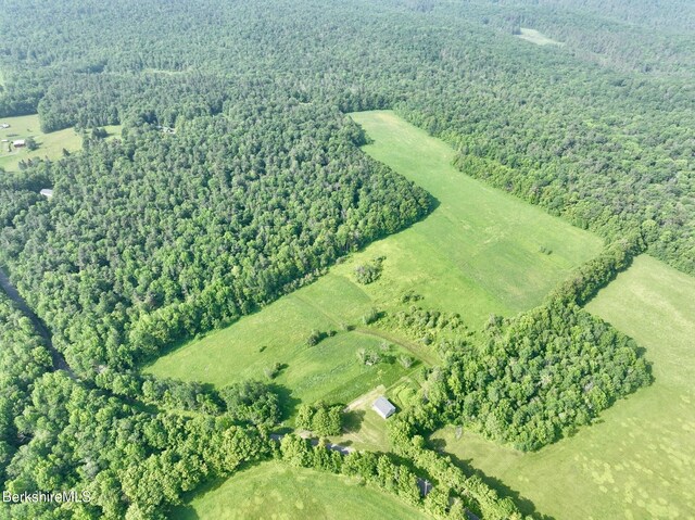 292 E Hawley Rd, Hawley, MA 01339 - photo 6