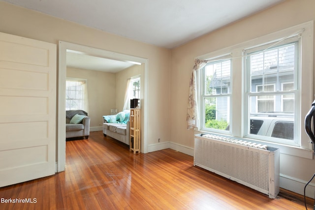 30 Belvidere Ave, Pittsfield, MA 01201 - bedroom featuring radiator and light wood finished floors