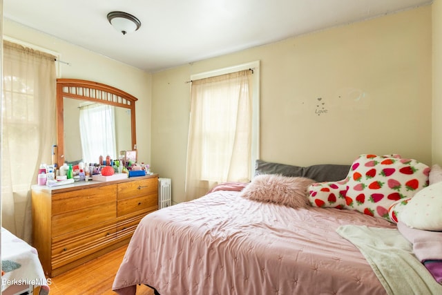 30 Belvidere Ave, Pittsfield, MA 01201 - bedroom featuring radiator heating unit and light wood-style floors