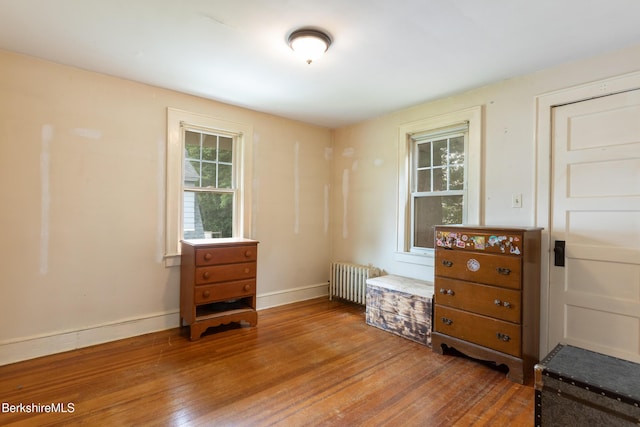 30 Belvidere Ave, Pittsfield, MA 01201 - bedroom with wood-type flooring and radiator heating unit
