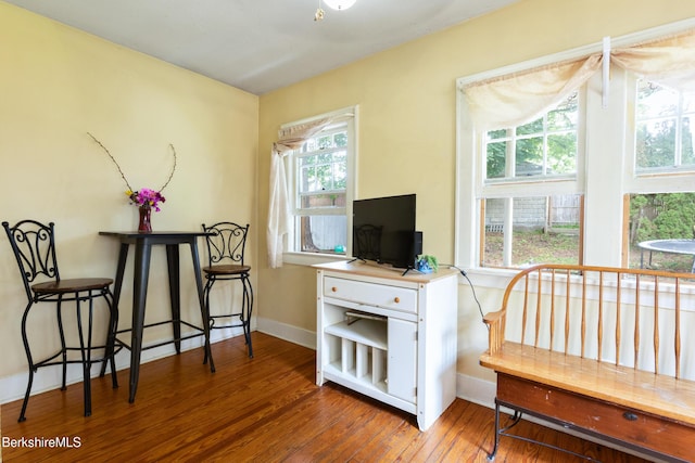 30 Belvidere Ave, Pittsfield, MA 01201 - living area with hardwood / wood-style flooring and healthy amount of natural light