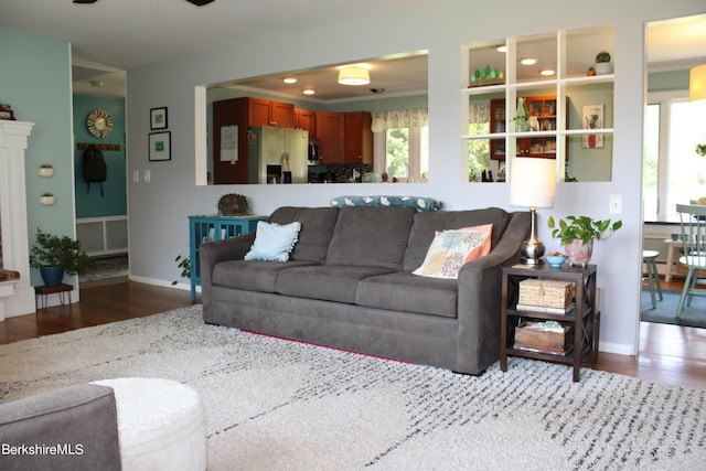 living room featuring hardwood / wood-style flooring