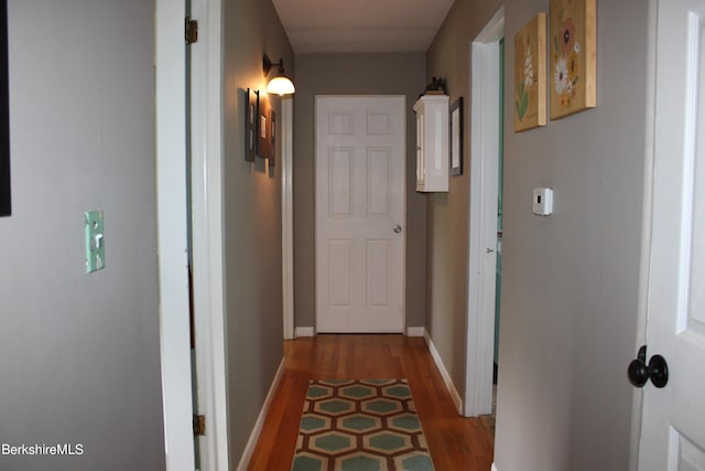 hallway featuring hardwood / wood-style floors