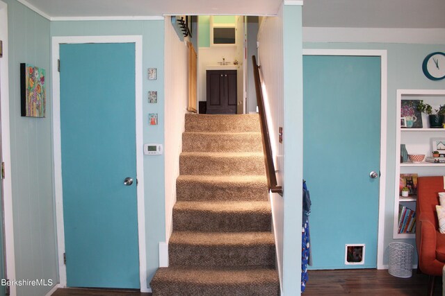 staircase with hardwood / wood-style flooring