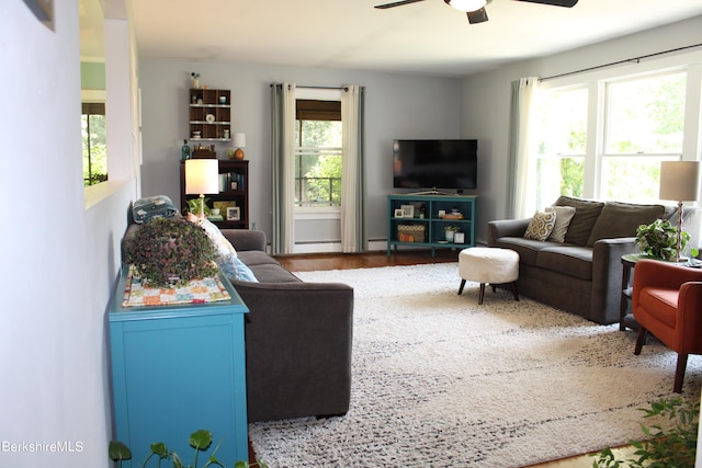 living room with hardwood / wood-style floors, a wealth of natural light, and ceiling fan