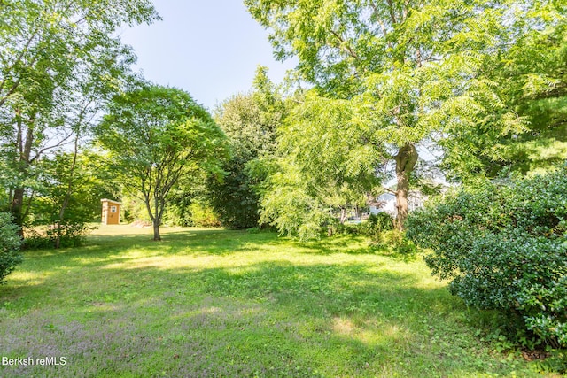 11 Bushey Rd, Pittsfield, MA 01201 - photo 19