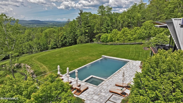 113 Brush Hill Rd, Great Barrington, MA 01230 - drone / aerial view of a forest and a pool area