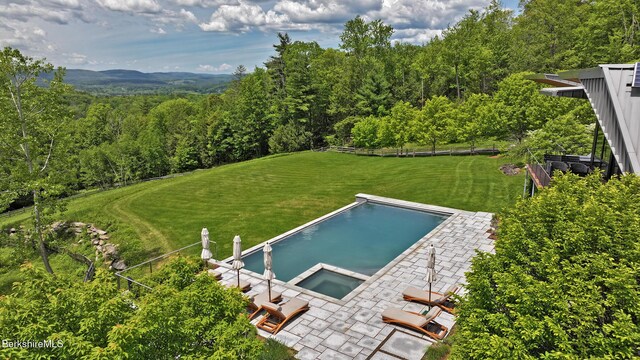 113 Brush Hill Rd, Great Barrington, MA 01230 - drone / aerial view of a forest and a pool area