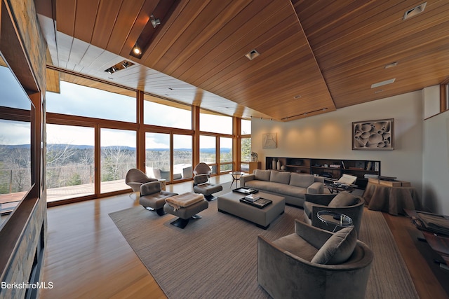 living room with wood finished floors, a mountain view, a wealth of natural light, and expansive windows