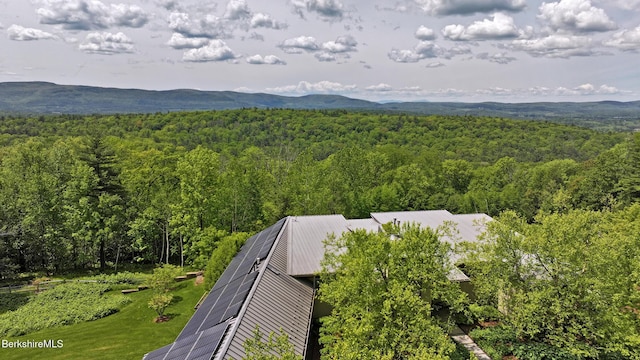 113 Brush Hill Rd, Great Barrington, MA 01230 - mountain view featuring a forest