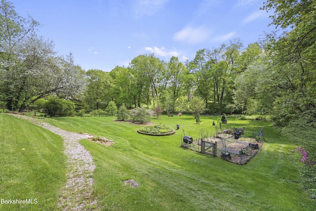 68 Colt Rd, Pittsfield, MA 01201 - view of green lawn
