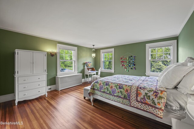 68 Colt Rd, Pittsfield, MA 01201 - bedroom featuring dark wood-type flooring, baseboards, ornamental molding, and radiator heating unit
