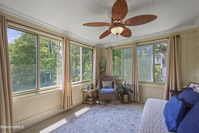 68 Colt Rd, Pittsfield, MA 01201 - sunroom / solarium featuring plenty of natural light, carpet floors, and crown molding
