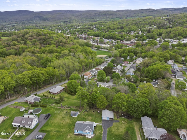 aerial overview of property's location with a forest and mountains