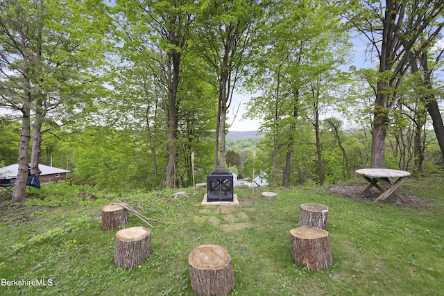 view of grassy yard