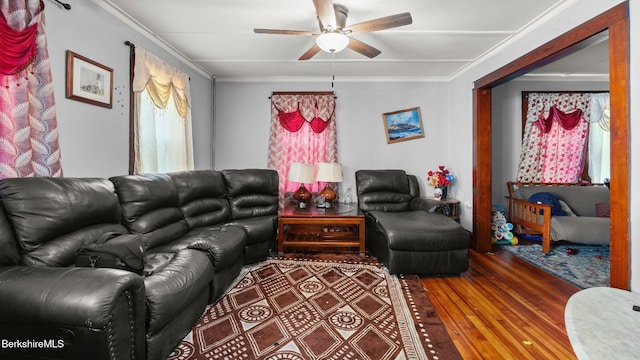 14 Hall St, North Adams, MA 01247 - living area featuring ceiling fan, ornamental molding, and wood finished floors