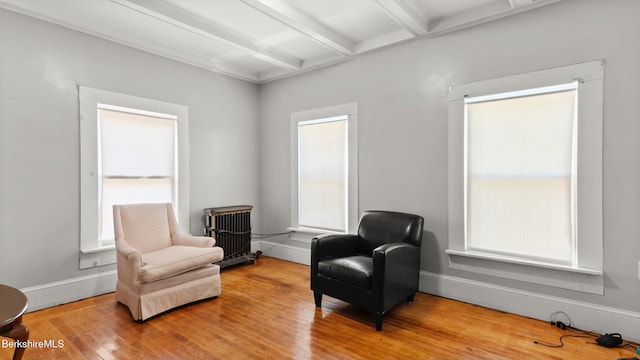 14 Hall St, North Adams, MA 01247 - living area featuring beam ceiling, wood finished floors, healthy amount of natural light, and baseboards