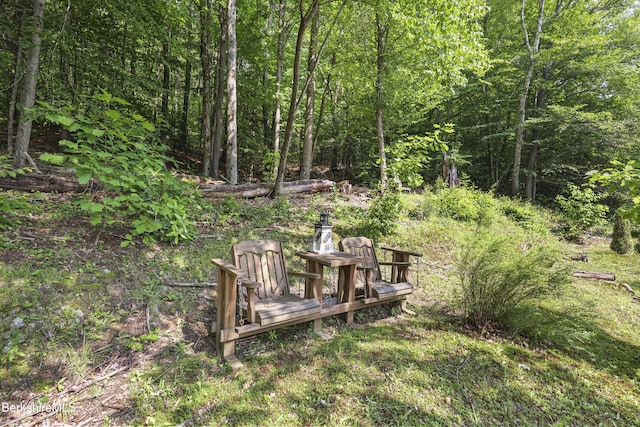 785 E New Lenox Rd, Pittsfield, MA 01201 - view of yard featuring a wooded view