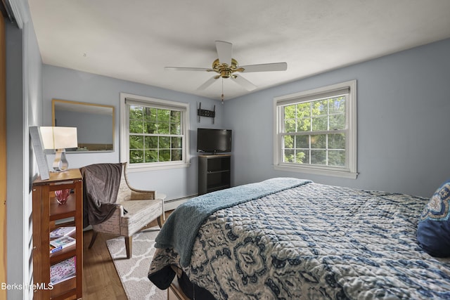 785 E New Lenox Rd, Pittsfield, MA 01201 - bedroom featuring wood finished floors, baseboard heating, and ceiling fan