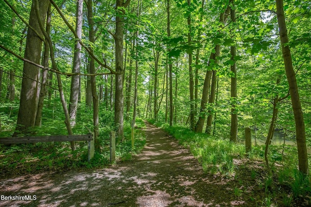 view of wooded area