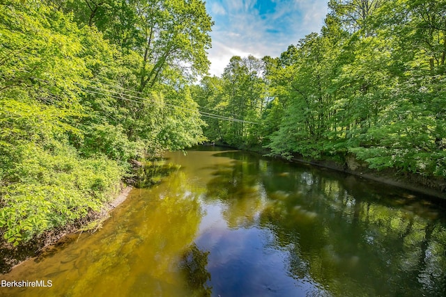 water view featuring a heavily wooded area