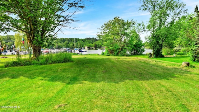 469 Pecks Rd, Pittsfield, MA 01201 - view of grassy yard