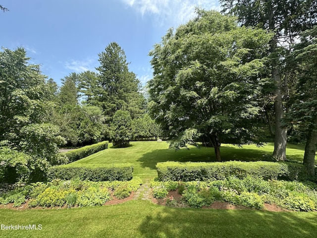 5 Glendale Rd, Stockbridge, MA 01262 - photo 45