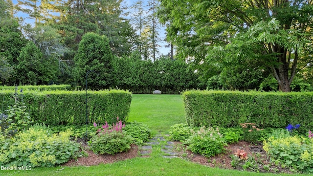 5 Glendale Rd, Stockbridge, MA 01262 - photo 24