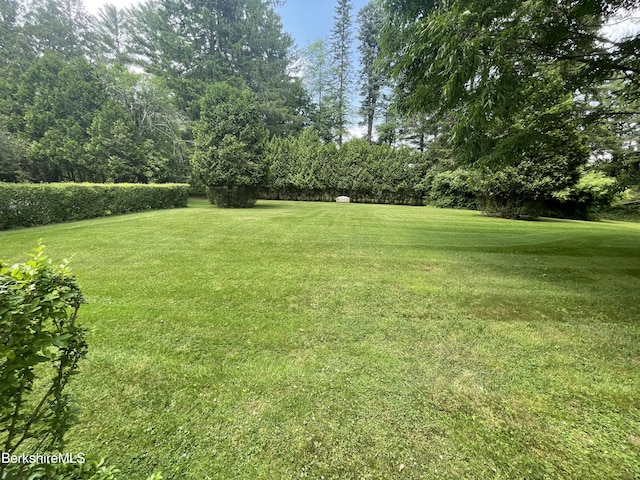 5 Glendale Rd, Stockbridge, MA 01262 - photo 47