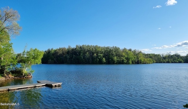 dock area with a water view and a forest view