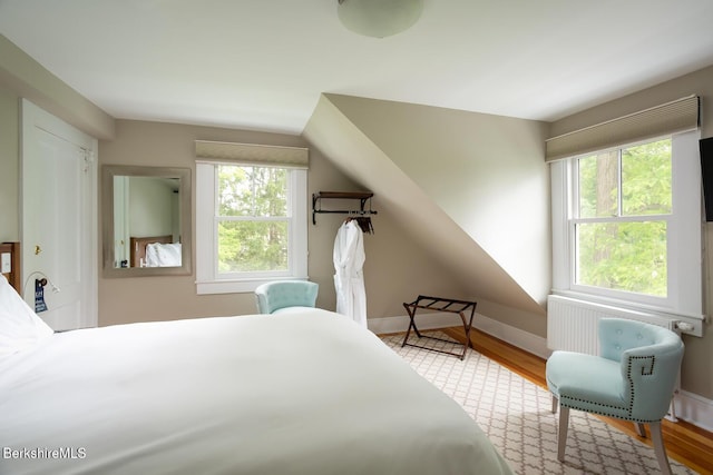 bedroom featuring multiple windows, wood finished floors, and baseboards