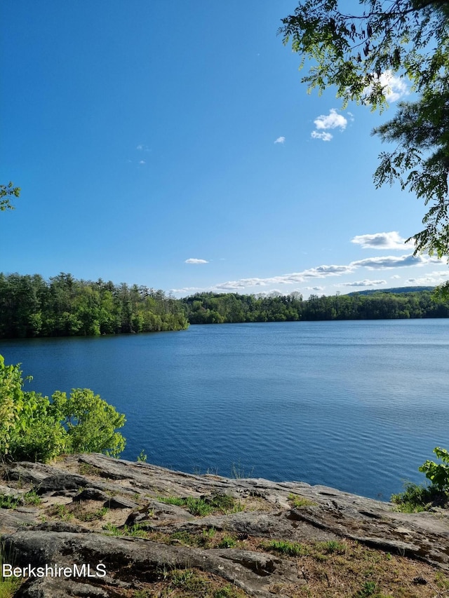 water view featuring a view of trees