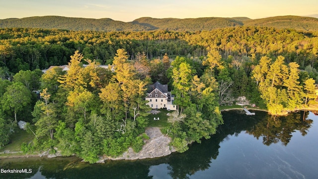 aerial view featuring a wooded view and a water and mountain view