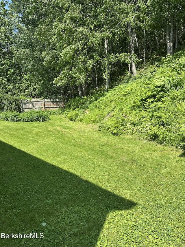 132-134 Crest St, North Adams, MA 01247 - view of grassy yard featuring a view of trees