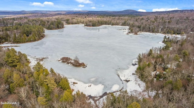 drone / aerial view with a mountain view and a forest view