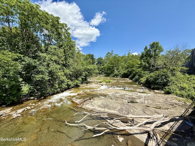 12 River Run, Williamstown, MA 01267 - photo 40