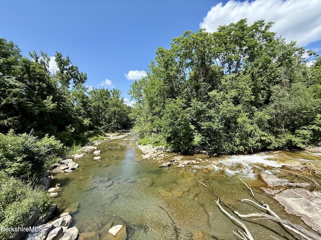 12 River Run, Williamstown, MA 01267 - photo 39
