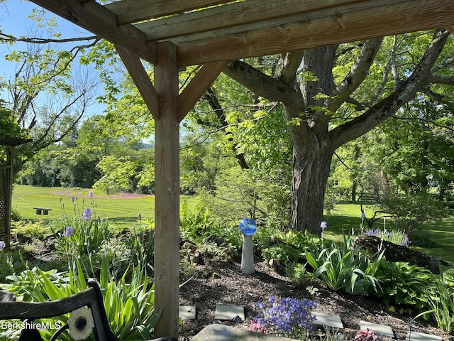 35 Chapman Rd, Pittsfield, MA 01201 - photo 18