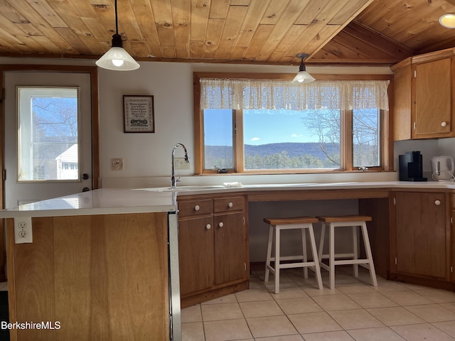 35 Chapman Rd, Pittsfield, MA 01201 - photo 26