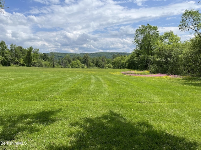 35 Chapman Rd, Pittsfield, MA 01201 - photo 2